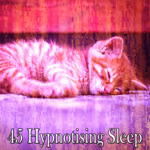收听Calming Sounds的Create Your Dreams歌词歌曲