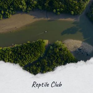 Various的专辑Reptile Club