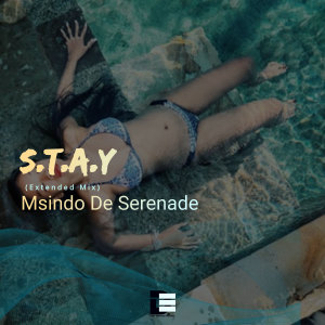 Listen to S.T.A.Y (Extended Mix) song with lyrics from Msindo de Serenade