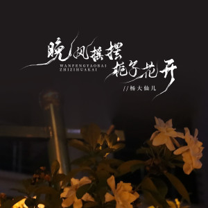 Album 晚风摇摆栀子花开 from 杨大仙儿