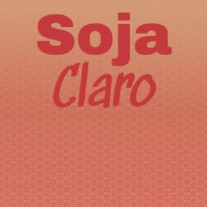 Various的专辑Soja Claro