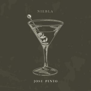 ดาวน์โหลดและฟังเพลง Niebla พร้อมเนื้อเพลงจาก Jose Pinto