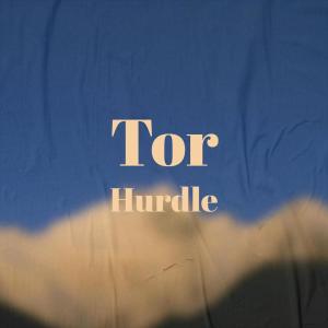 Album Tor Hurdle from Various