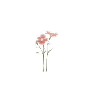 Common Opal的专辑Flower