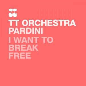 收聽TT Orchestra的I Want to Break Free (Tech Mix)歌詞歌曲