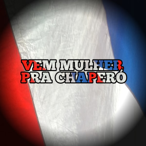 收聽DJ BN TORVIC的VEM MULHER PRA CHAPERÓ歌詞歌曲