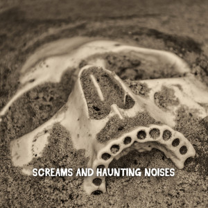 Spooky Halloween Sounds的专辑Screams And Haunting Noises