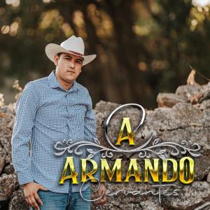 收聽Armando Cervantes的El billetes Aviles歌詞歌曲