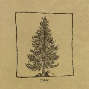Henrik的專輯Steady