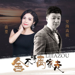 收聽蔣嬰的捨不得離家走 (DJ版)歌詞歌曲