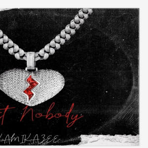 Album Trust Nobody (feat. KAMIKAZEE) (Explicit) oleh Kamikazee