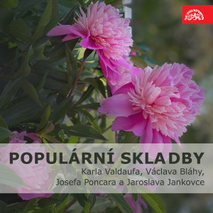 Listen to Populární skladby Josefa Poncara. Směs song with lyrics from Standa Procházka