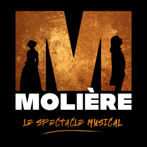 ดาวน์โหลดและฟังเพลง Moi je veux พร้อมเนื้อเพลงจาก Molière l'opéra urbain