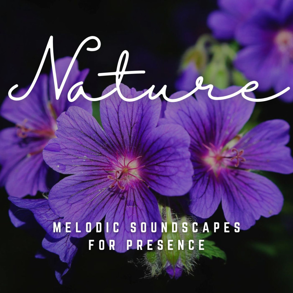 Meditation's Echoes of Presence