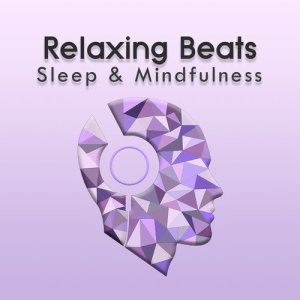 收聽Sleepy Times的Relaxing Ambient Sleep Sounds, Pt. 63歌詞歌曲