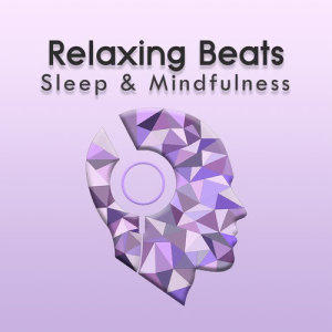 收聽Sleepy Times的Relaxing Ambient Sleep Sounds, Pt. 9歌詞歌曲