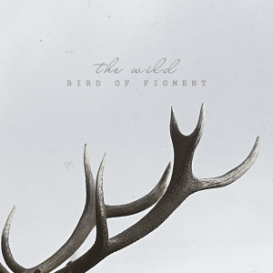 Dengarkan lagu Into The Night nyanyian Bird Of Figment dengan lirik