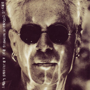 ดาวน์โหลดและฟังเพลง A Dream Like Mine (Album Version) พร้อมเนื้อเพลงจาก Bruce Cockburn