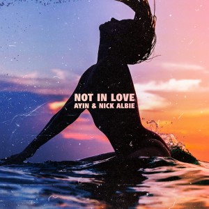 Album Not in Love oleh Ayin