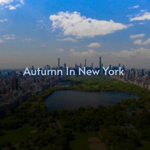 Listen to Autumn in New York (Live) song with lyrics from Ahmad Jamal