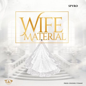 Spyro的專輯Wife Material