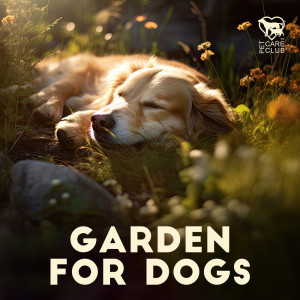 Album Garden for Dogs (Serenity for Pets Alone at Home) from Pet Care Club