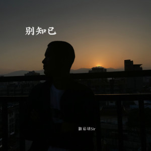 收聽精彩胡Sir的別知已 (DJ版)歌詞歌曲