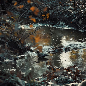 Sleep Therapist的專輯Deep Sleep Binaural Nature Sounds with Creek and Birds