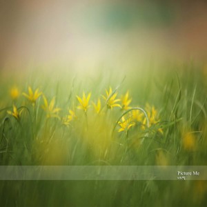 Mmiribyul的专辑Picture Me