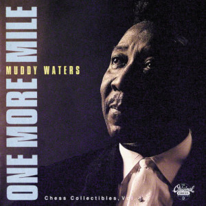 ดาวน์โหลดและฟังเพลง Trouble, Trouble พร้อมเนื้อเพลงจาก Muddy Waters