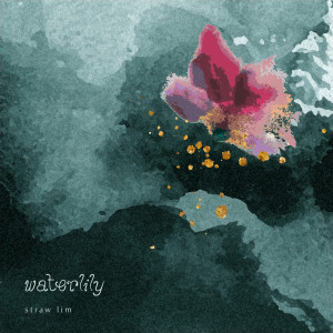 ดาวน์โหลดและฟังเพลง Waterlily พร้อมเนื้อเพลงจาก Straw Lim