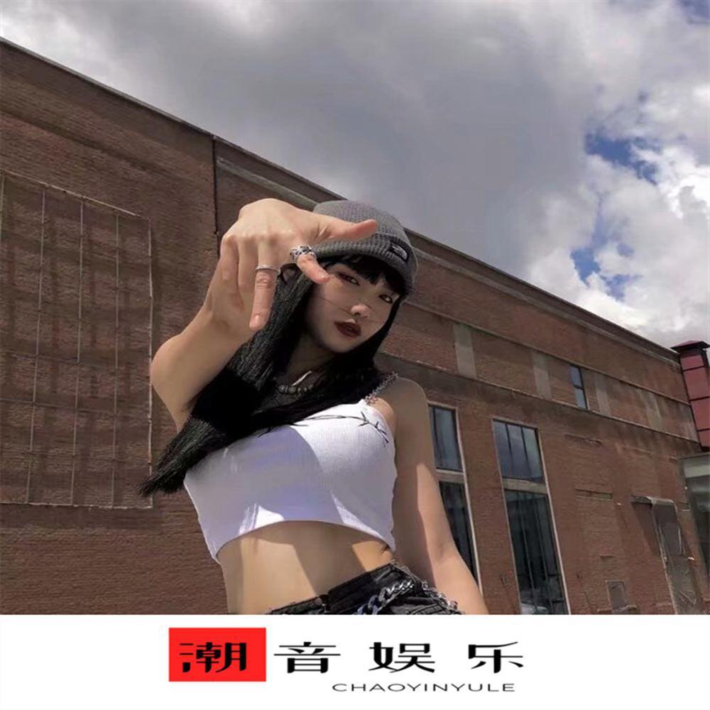 飞 (DJ旋律版)
