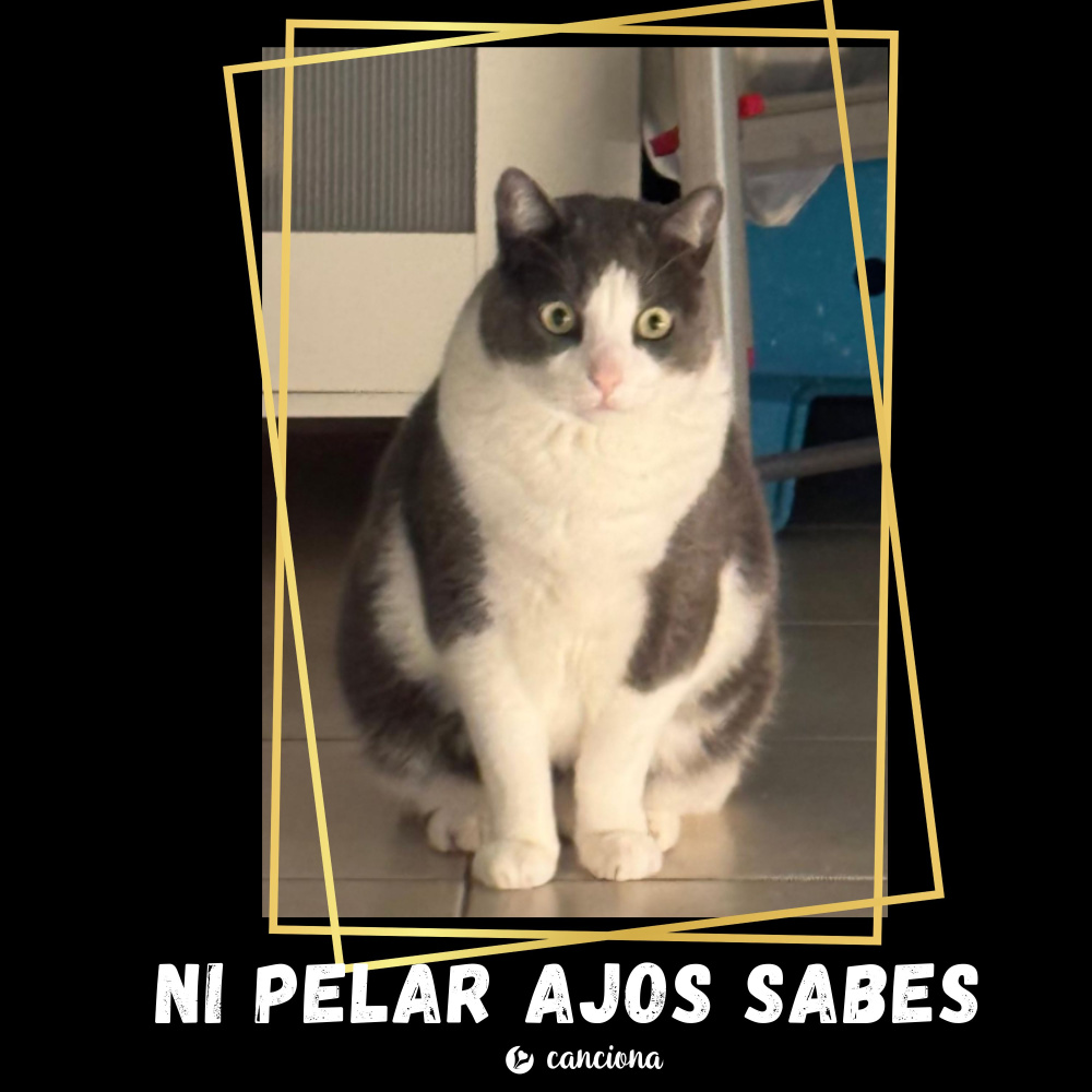Ni pelar ajos sabes