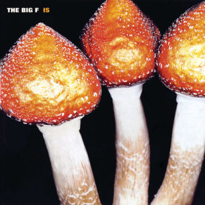 收聽The Big F的Lube歌詞歌曲