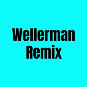 Dengarkan Wellerman Remix lagu dari NE MiX dengan lirik