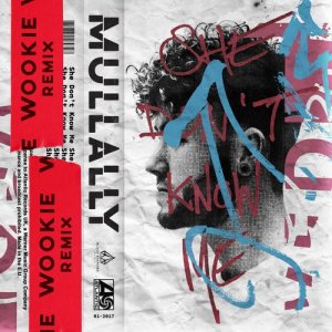 收聽Mullally的She Don't Know Me (Wookie Remix)歌詞歌曲