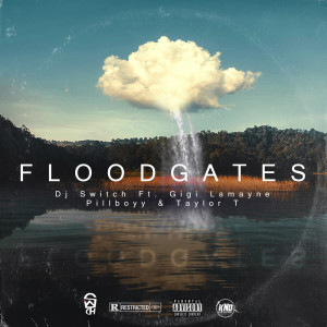 Album Flood Gates oleh DJ Switch