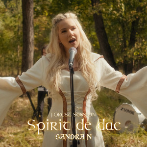 Listen to Spirit de dac song with lyrics from Sandra N.
