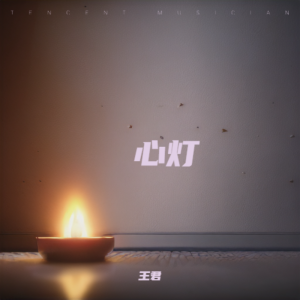 Listen to 心灯 (完整版) song with lyrics from 王君
