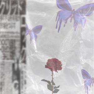 收聽LeRoss的A fuego歌詞歌曲