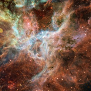 Sstachzz的專輯Anonymouse (Explicit)