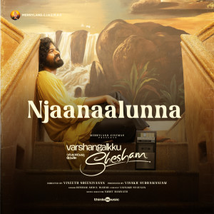 Amrit Ramnath的专辑Njaanaalunna (From "Varshangalkku Shesham")