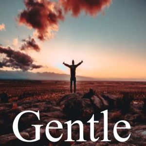 Listen to Gentle song with lyrics from Grito