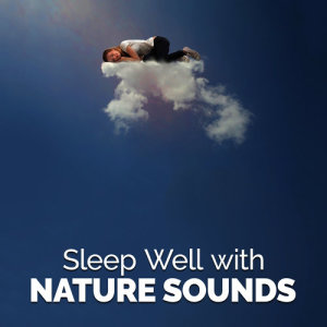 ดาวน์โหลดและฟังเพลง Forest Slumber พร้อมเนื้อเพลงจาก Sleep Songs with Nature Sounds