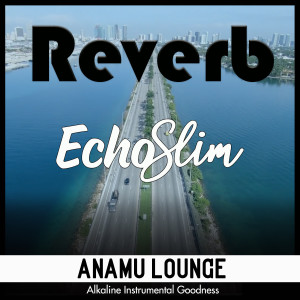 EchoSlim的專輯Reverb