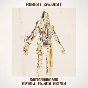 Robert Calvert的專輯Subterraneans (Remix)