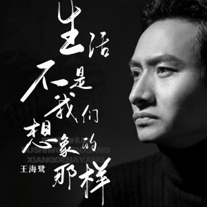 Album 生活不是我们想象的那样 from 王海鹭