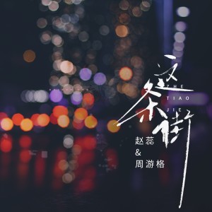 Listen to 这条街 (伴奏) song with lyrics from 赵蕊