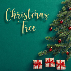 Listen to Ave Maria song with lyrics from The Christmas Tree Band