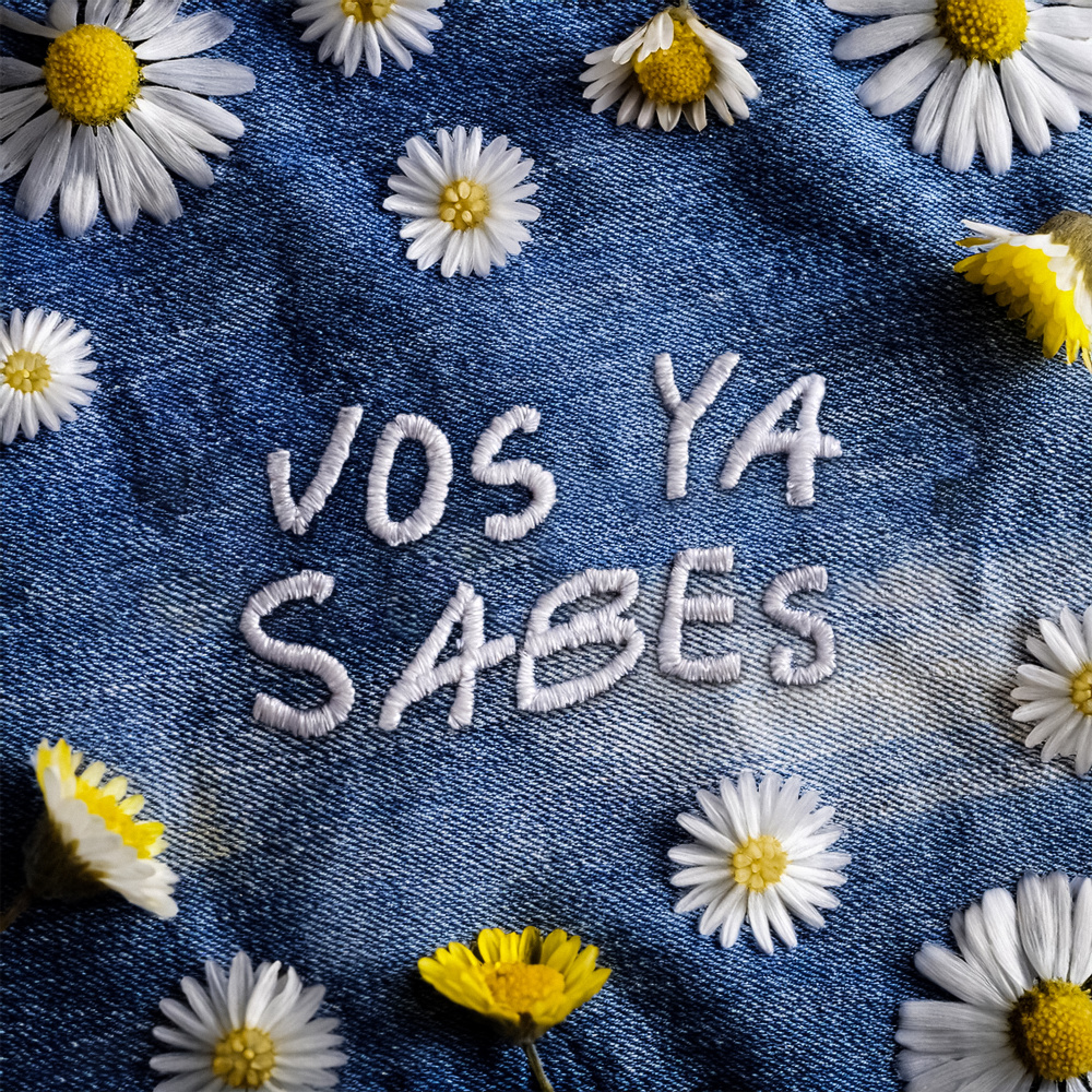Vos ya sabes